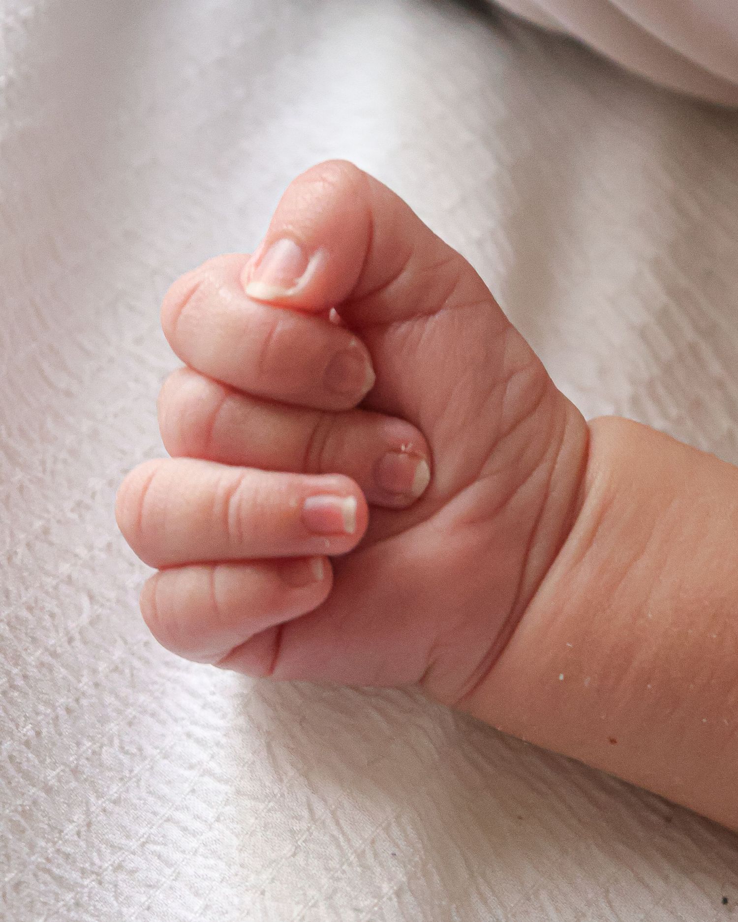 newborn photos family