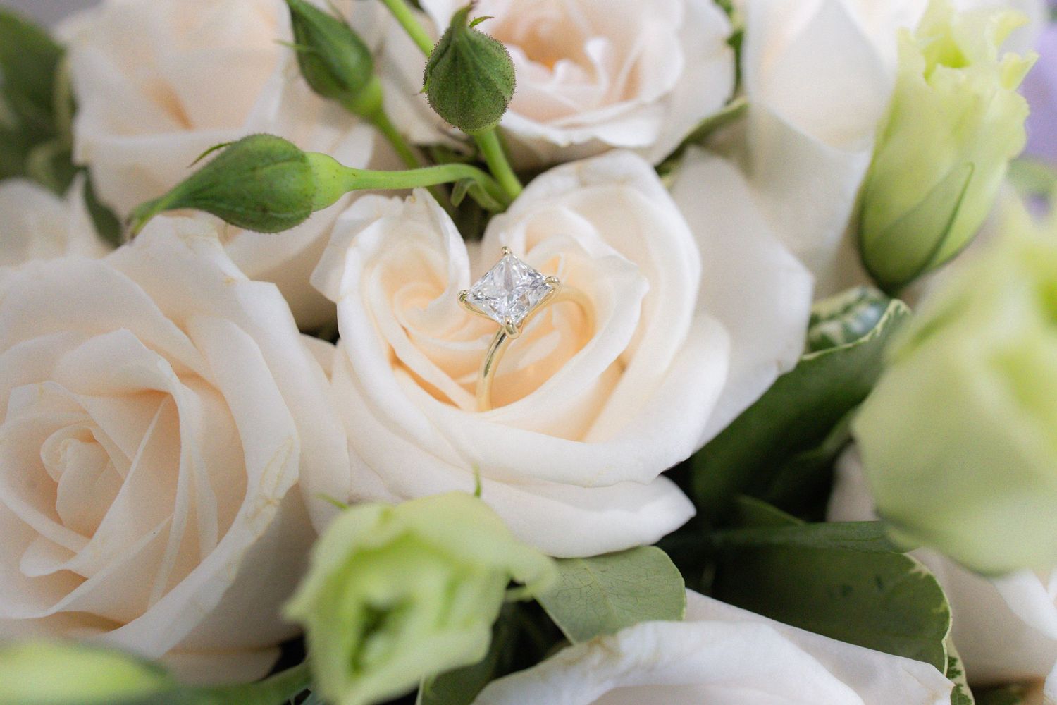 Delicate cream-colored roses with soft green accents create an elegant floral arrangement against a light background.