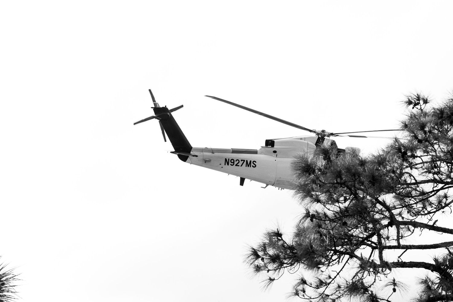 White helicopter flying low over trees against cloudy sky.