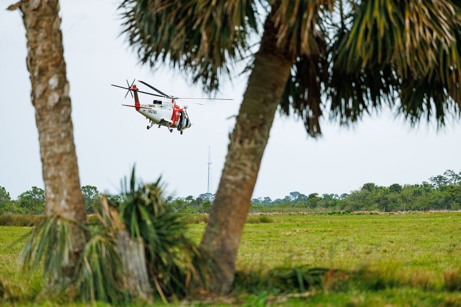 Palm trees frame a grassy field with helicopter visible in distance.