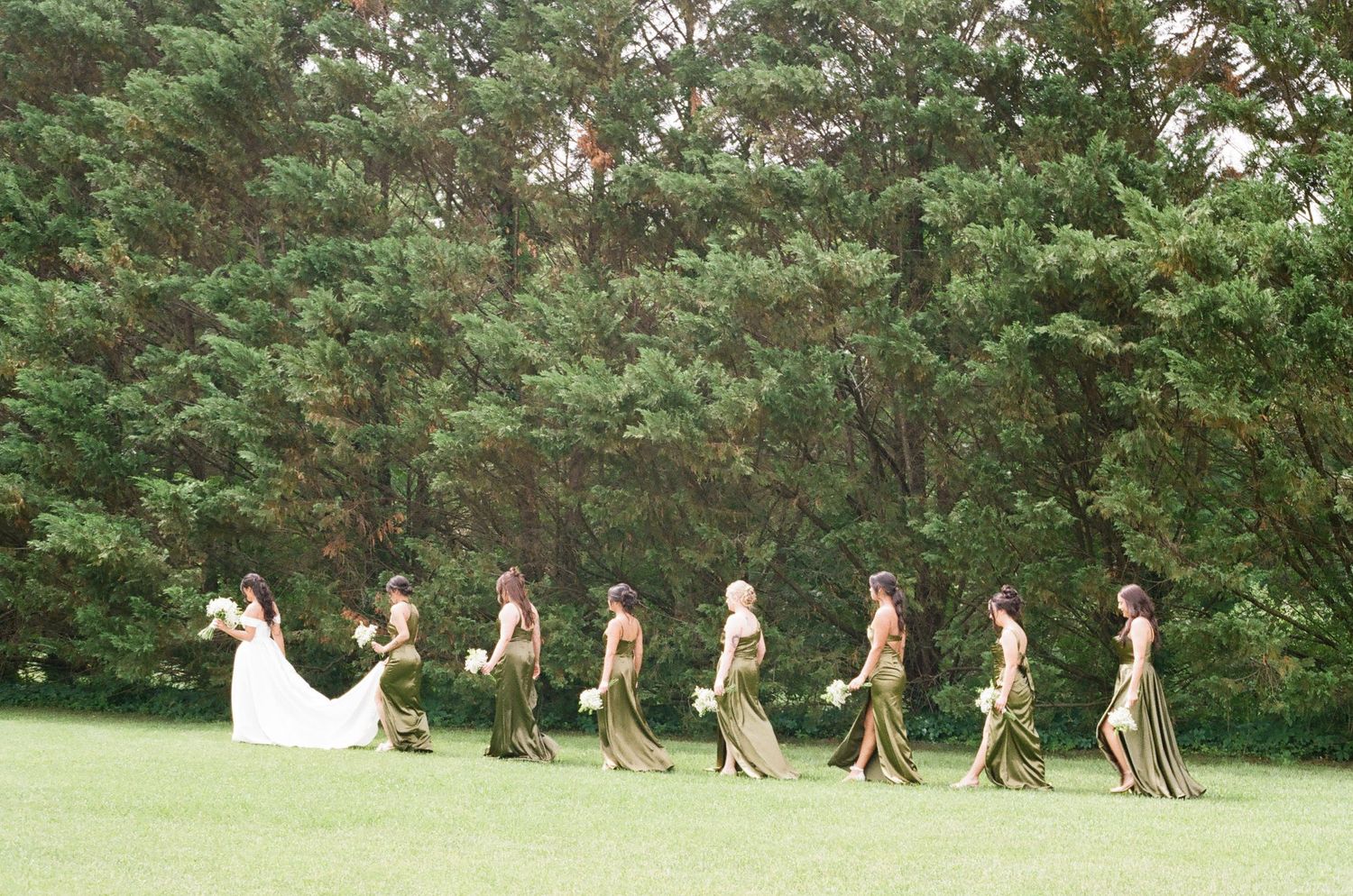 Bride in white gown leads bridesmaids in gold dresses across green lawn with pine trees backdrop at outdoor wedding.