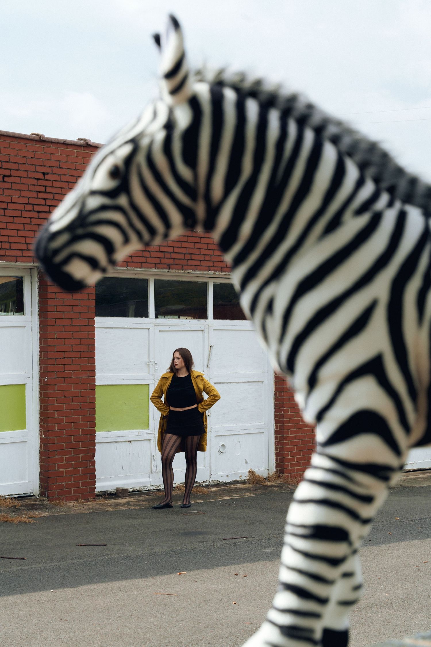 A sequence of images showing a zebra and a person passing by a brick building with white doors.