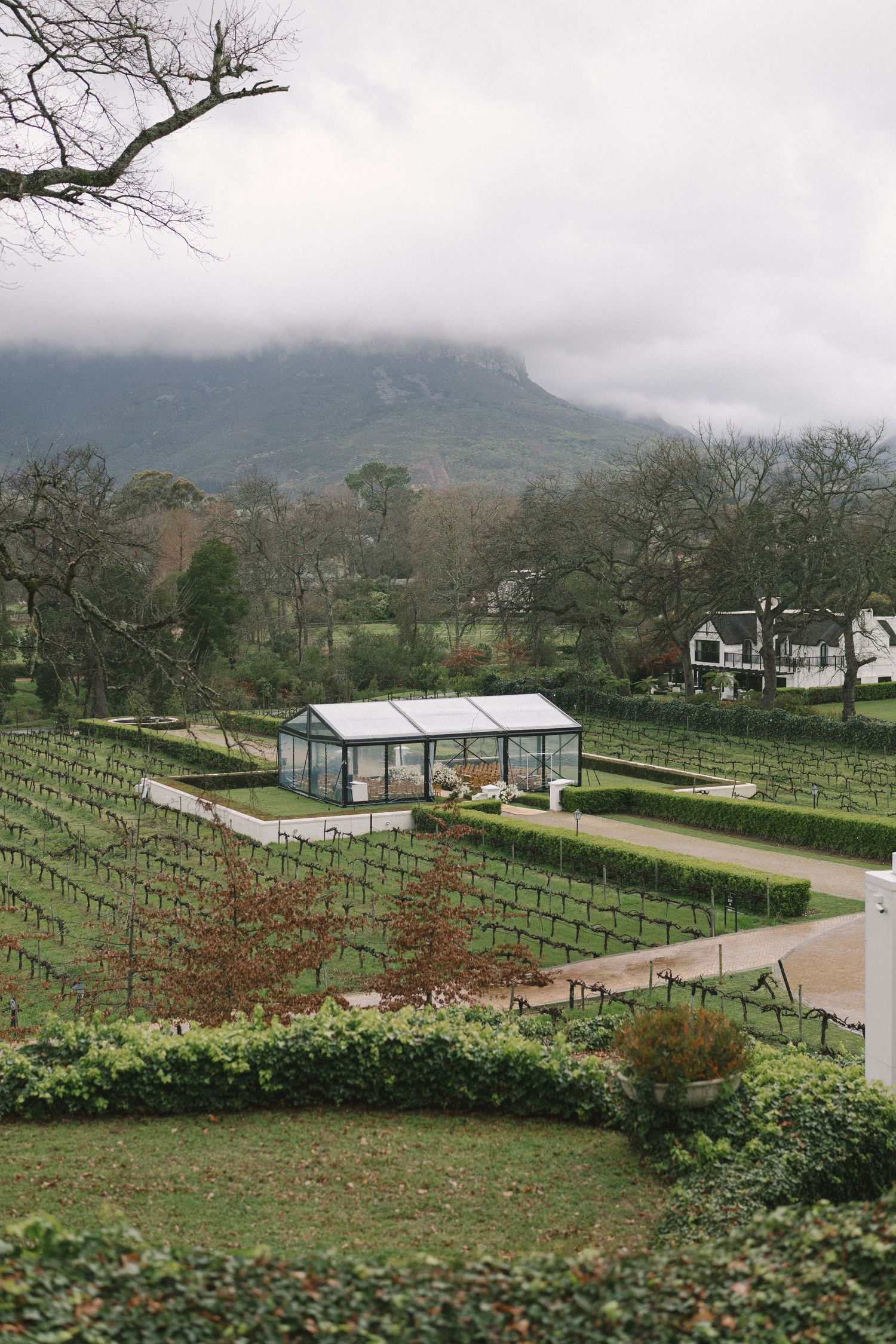 A scenic vineyard landscape with greenhouse and misty mountain backdrop in the distance on an overcast day.