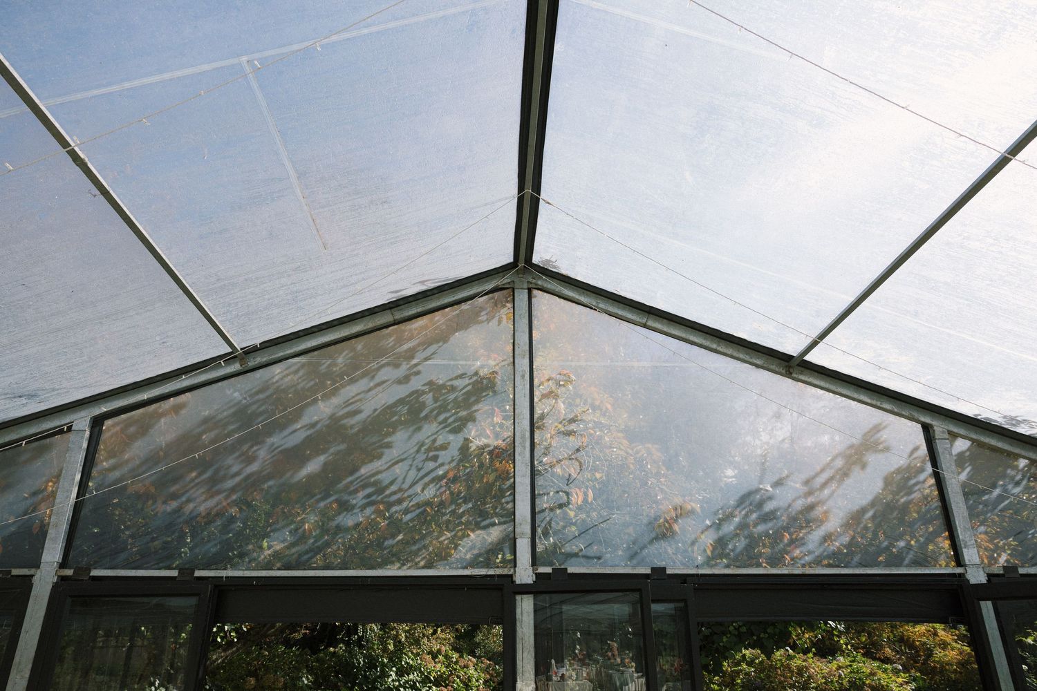 Interior view of a glass greenhouse roof with metal frame structure against a blue sky and green foliage.