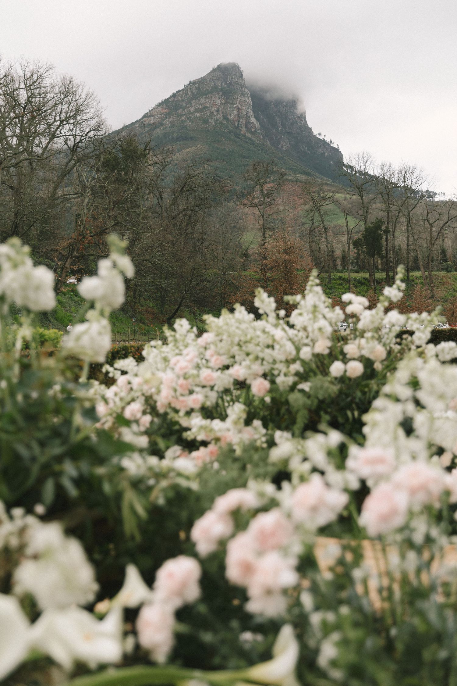 Delicate white and pink flowers bloom in the foreground with misty mountain peaks rising in the background.