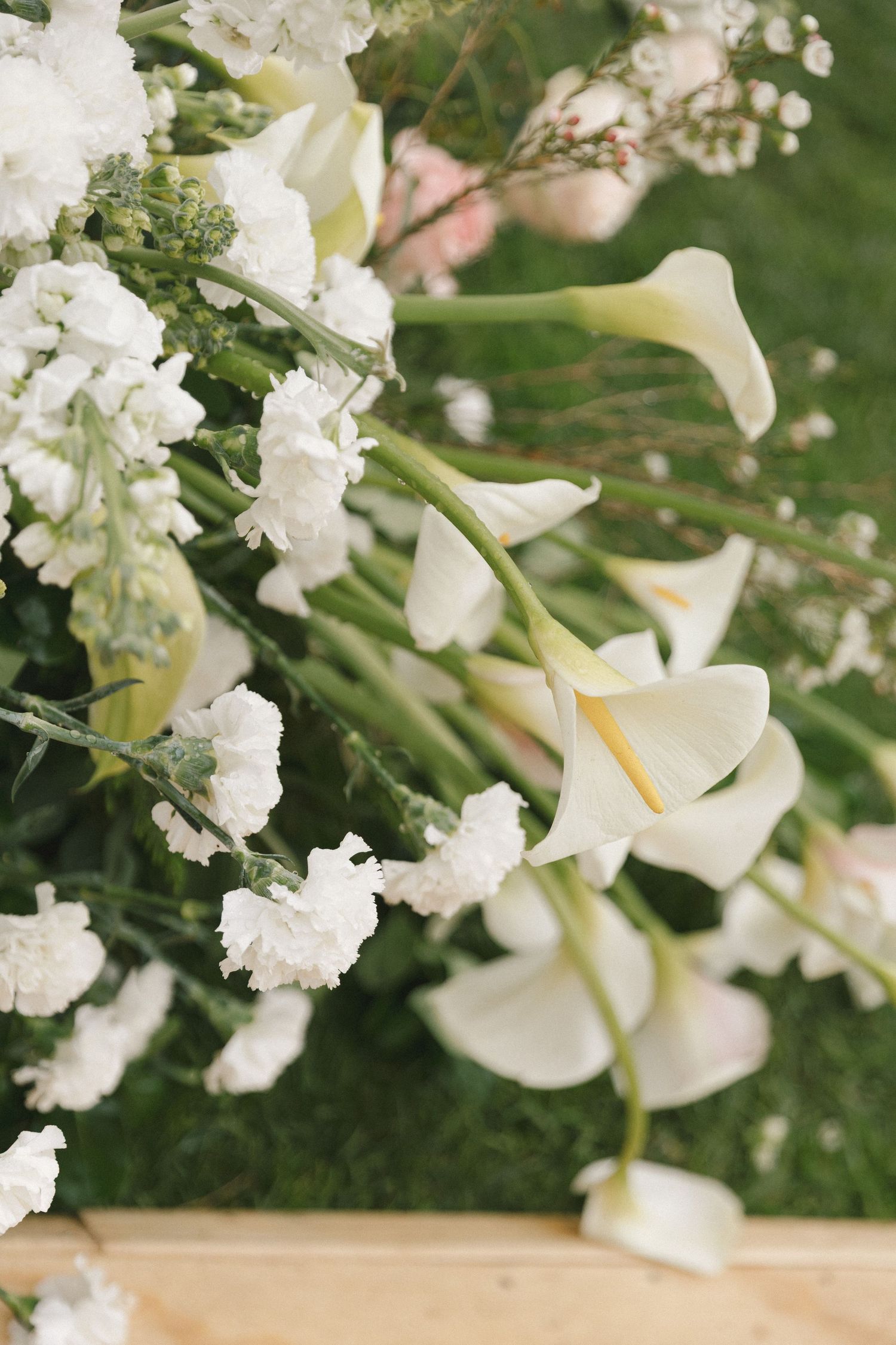 Delicate white calla lilies and baby's breath flowers arranged together against a soft green background.