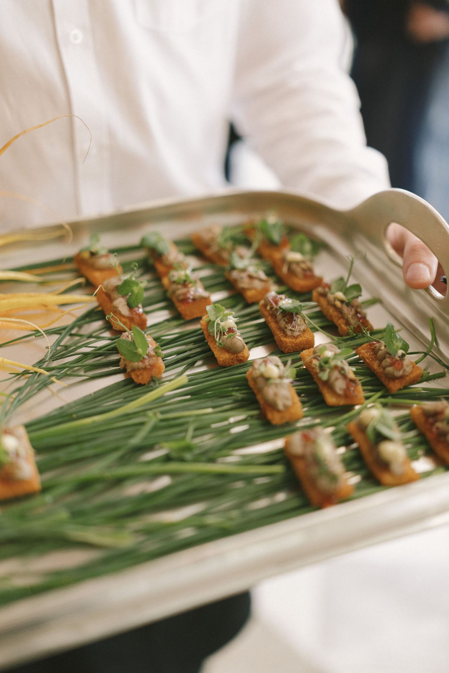 Grilled shrimp appetizers arranged on fresh green chives displayed on a white serving platter.