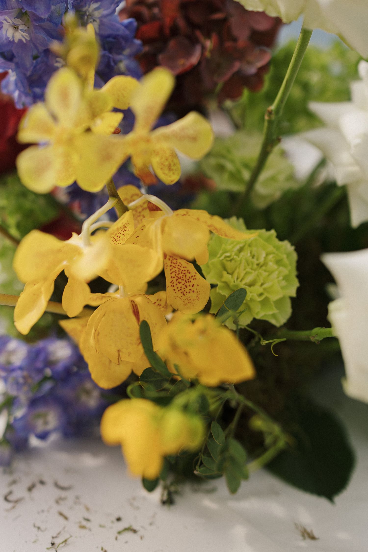 Colorful floral arrangement featuring yellow orchids, green hydrangeas, blue delphiniums, and burgundy blooms.