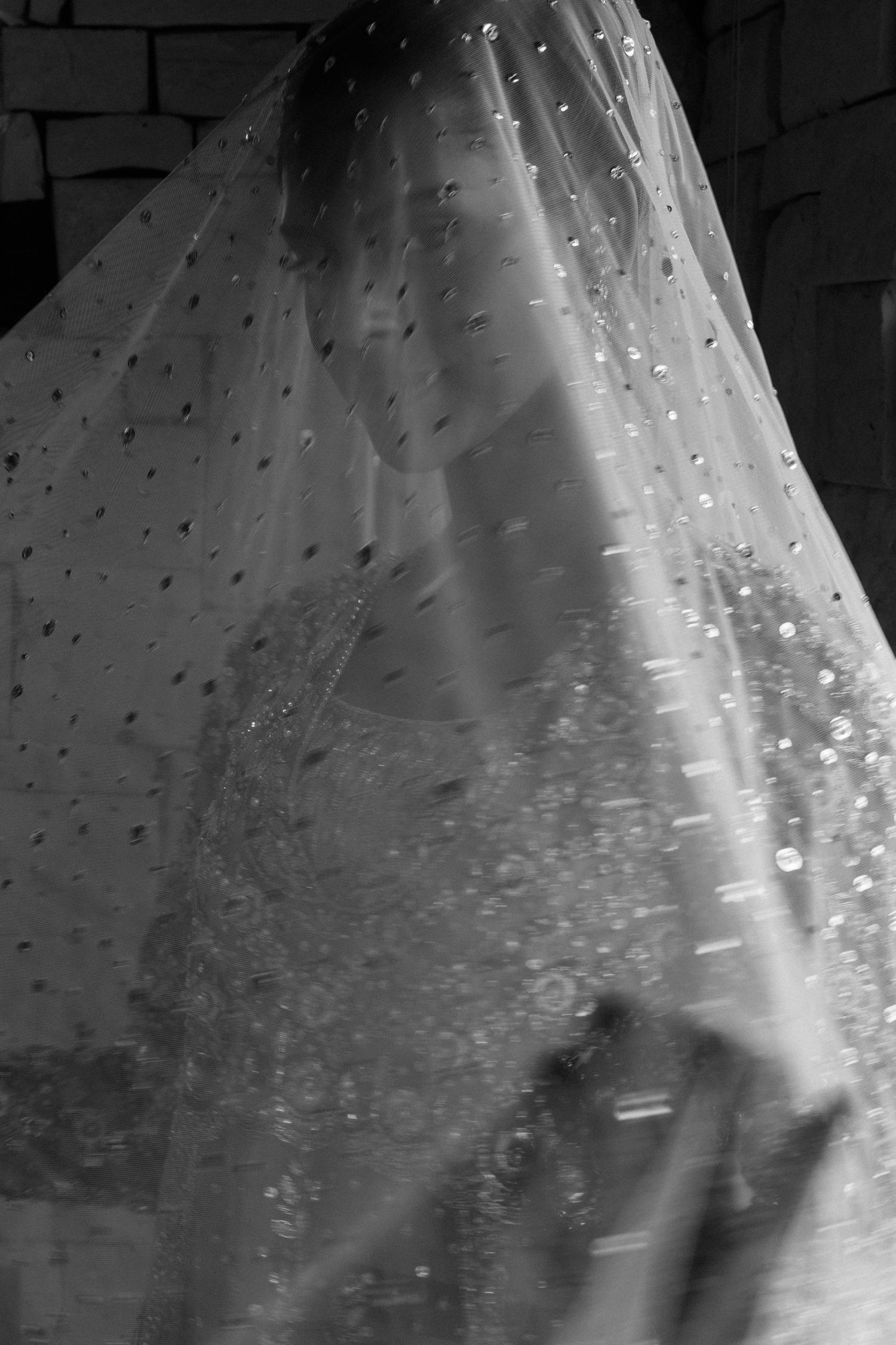 Black and white close-up of intricate embroidered bridal veil with sparkling crystal embellishments.