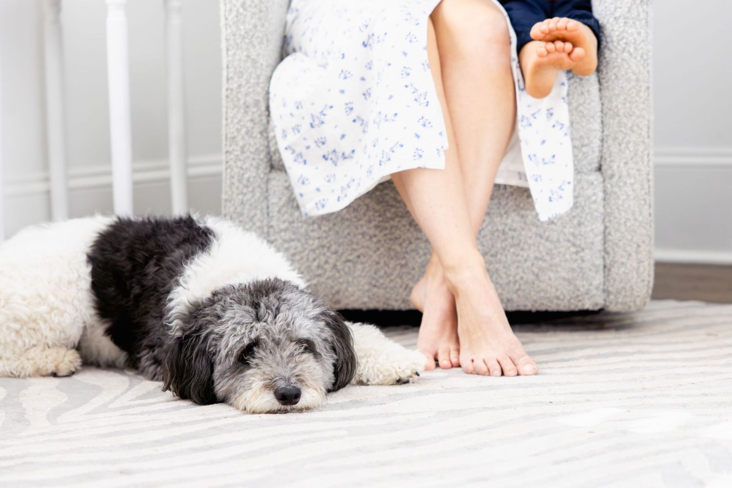 Shaggy black and white dog resting beside bare feet on a carpeted floor.