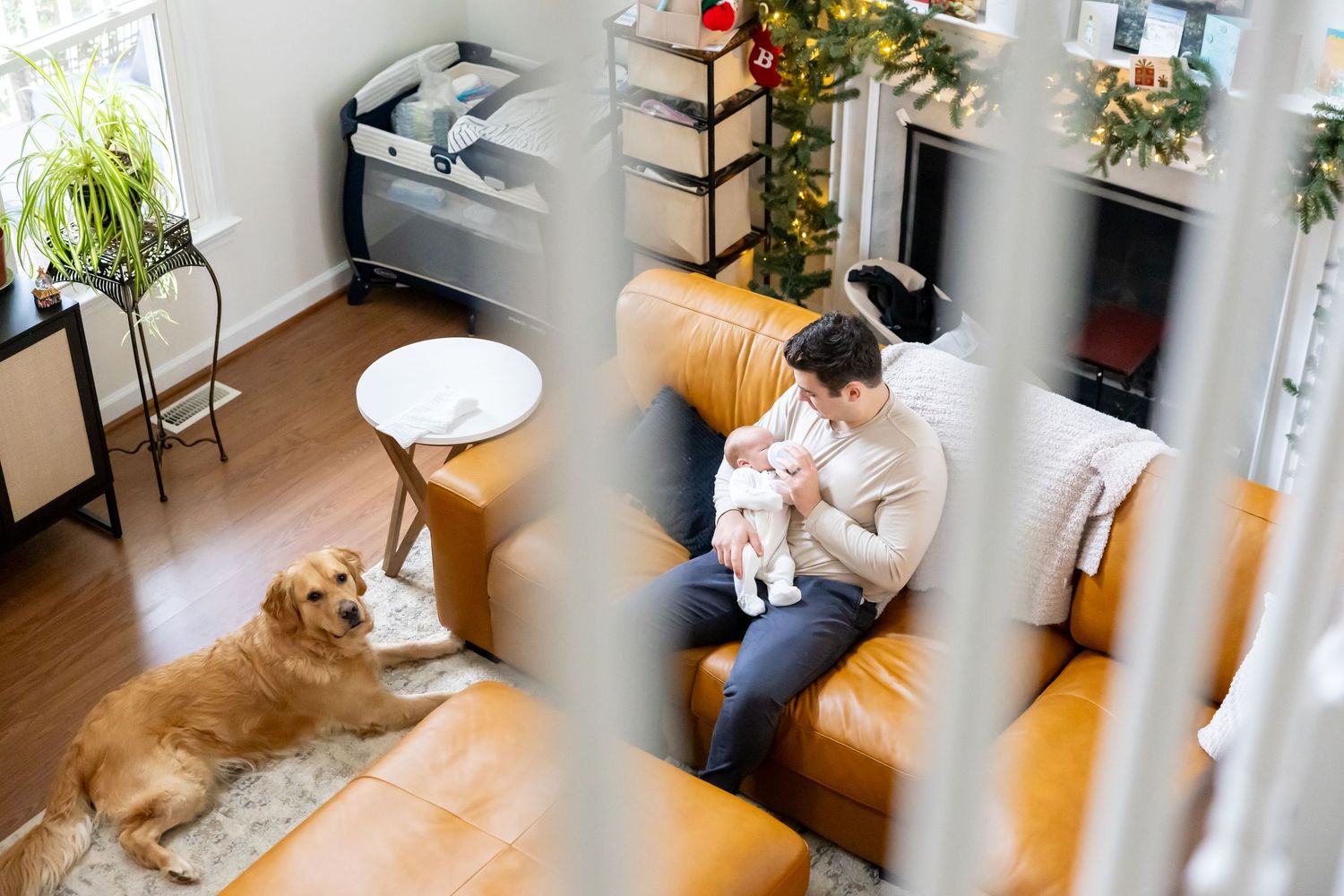 Birds eye view of family moment with dog lying on floor beside sofa.