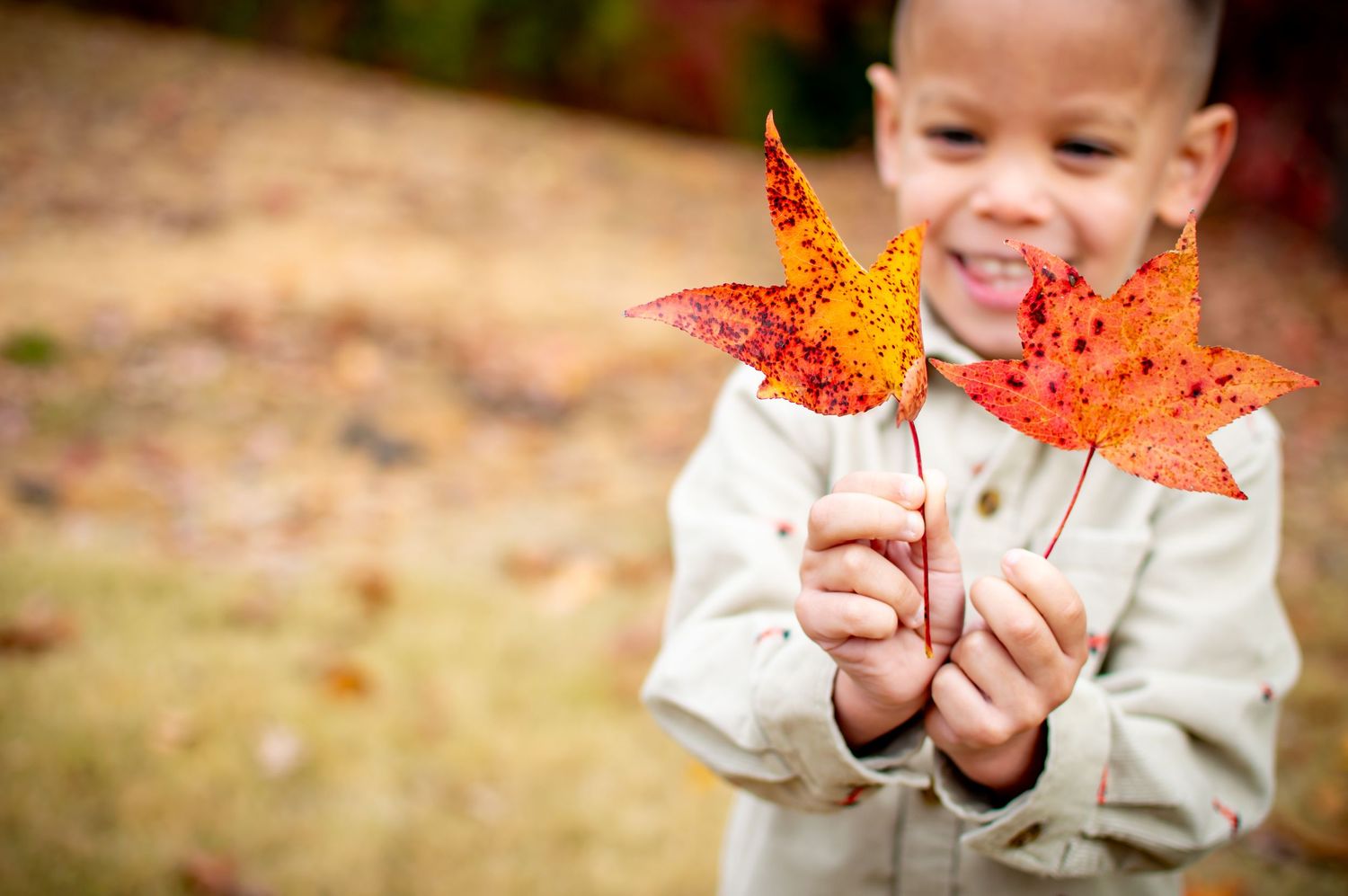 Small hands holding vibrant orange fall leaves against autumn backdrop in Lake Wylie, SC.