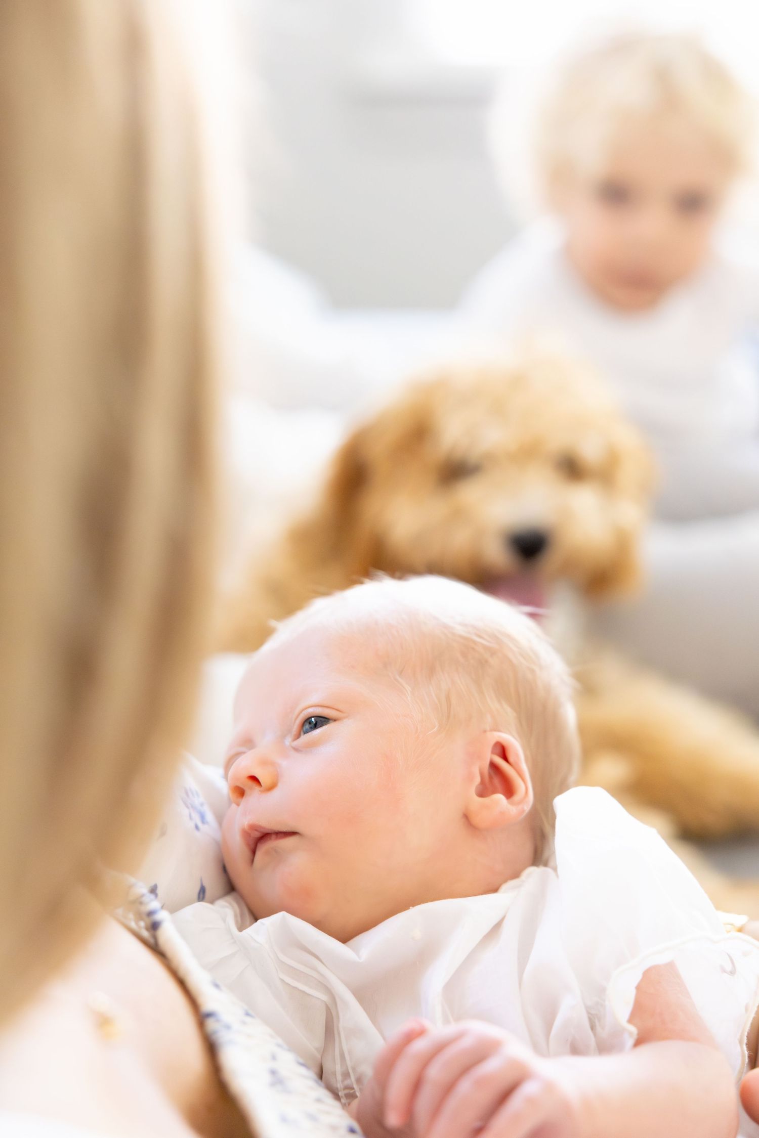 Tender moment of a sleeping baby in white clothing during a newborn photography session.