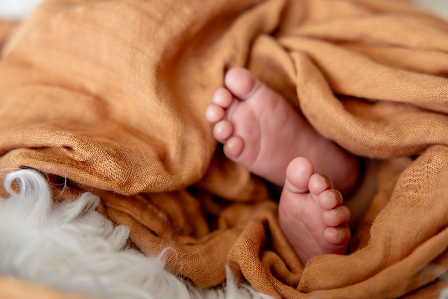 Close up of tiny baby feet wrapped in soft orange blanket.