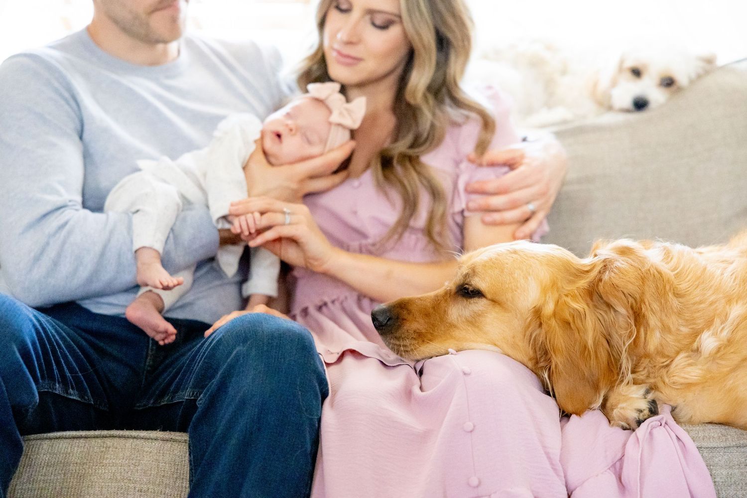 Parents on couch with golden retriever during intimate home photoshoot in natural lighting.