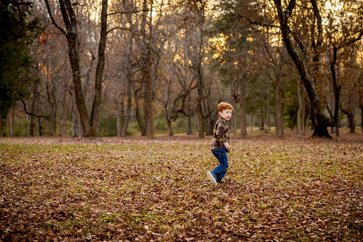 Silhouettes of people playing and running through fallen leaves in a forest during golden hour.