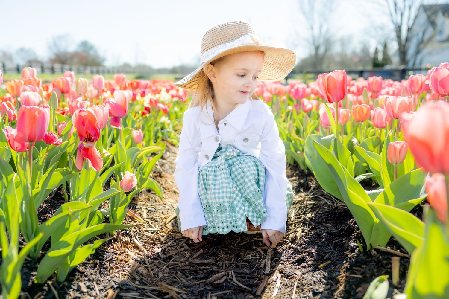 Child in sunhat exploring blooming tulip garden on bright spring day.