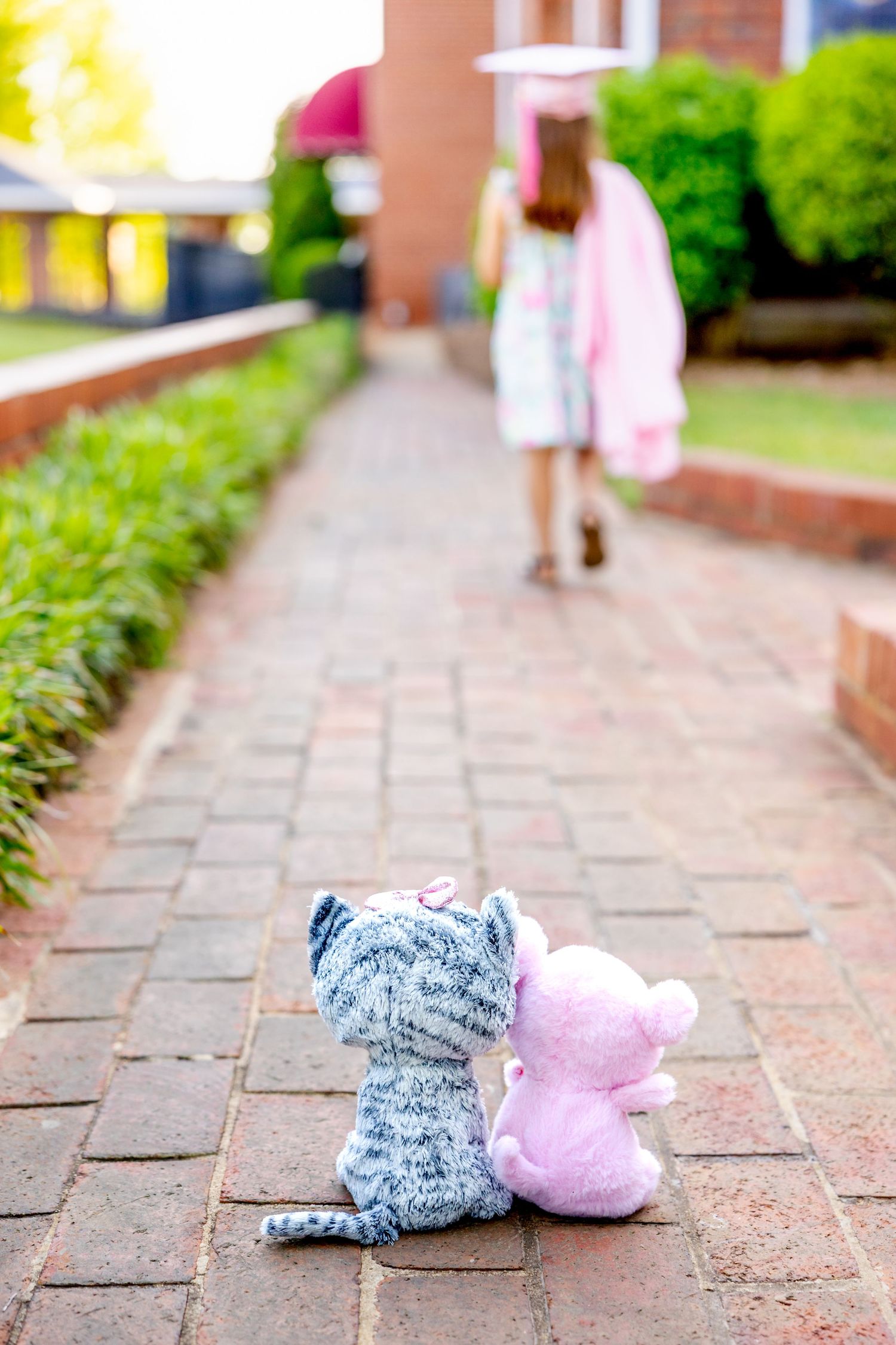 Two stuffed animals sit together on a brick pathway as preschool graduate walks away in the distance.