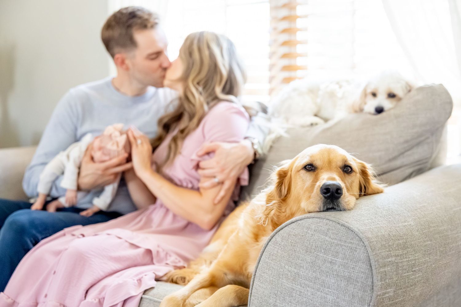 Family lounges on grey couch with golden retriever and small white dog resting beside them.
