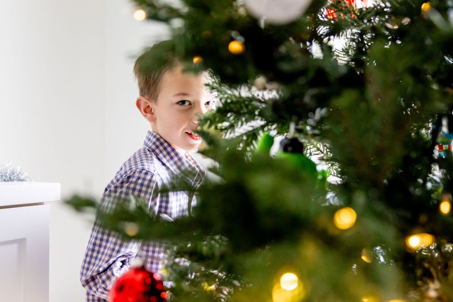 Playful peek through Christmas tree branches with twinkling lights.