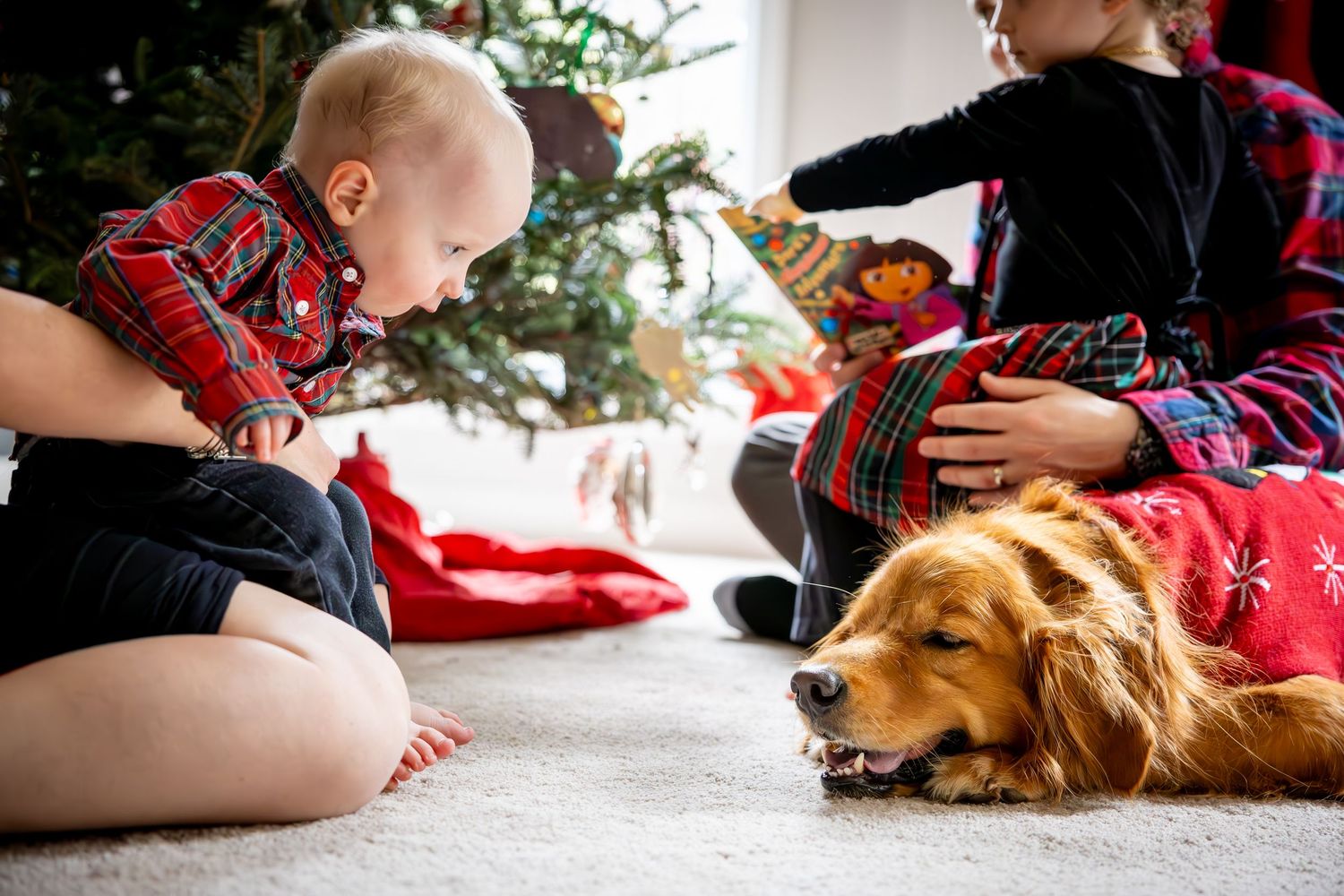 Children and a golden retriever play with Christmas presents on the floor near a decorated tree.
