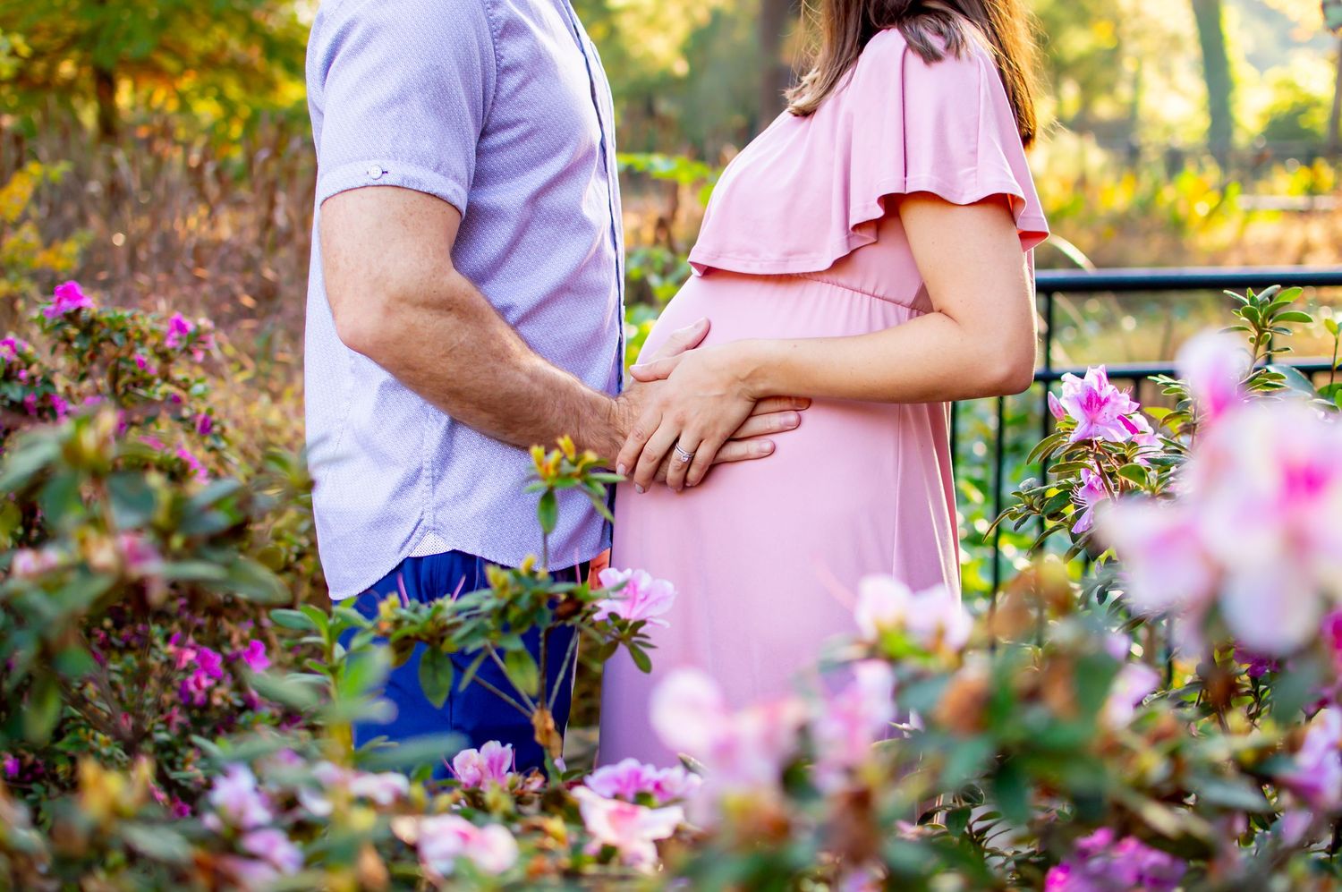 Close up of expectant parents holding hands among blooming pink roses in a garden.