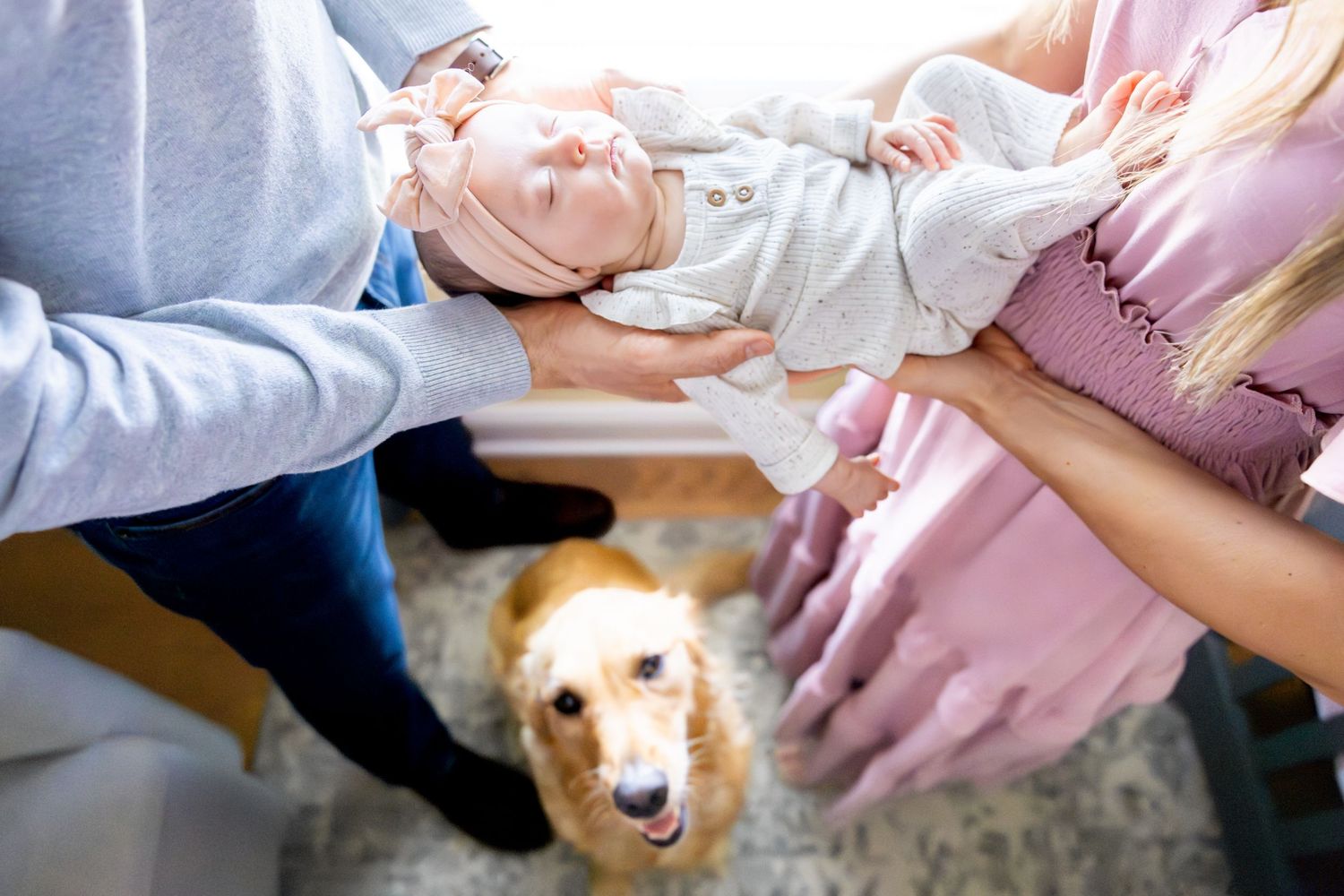 Golden retriever joins family photoshoot as parents hold their newborn baby in a bright living room setting.