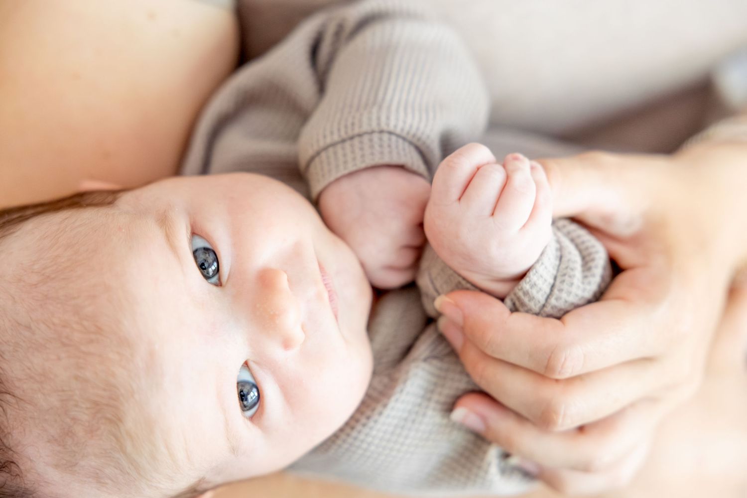 Portrait of infant wearing soft gray sweater in natural light.