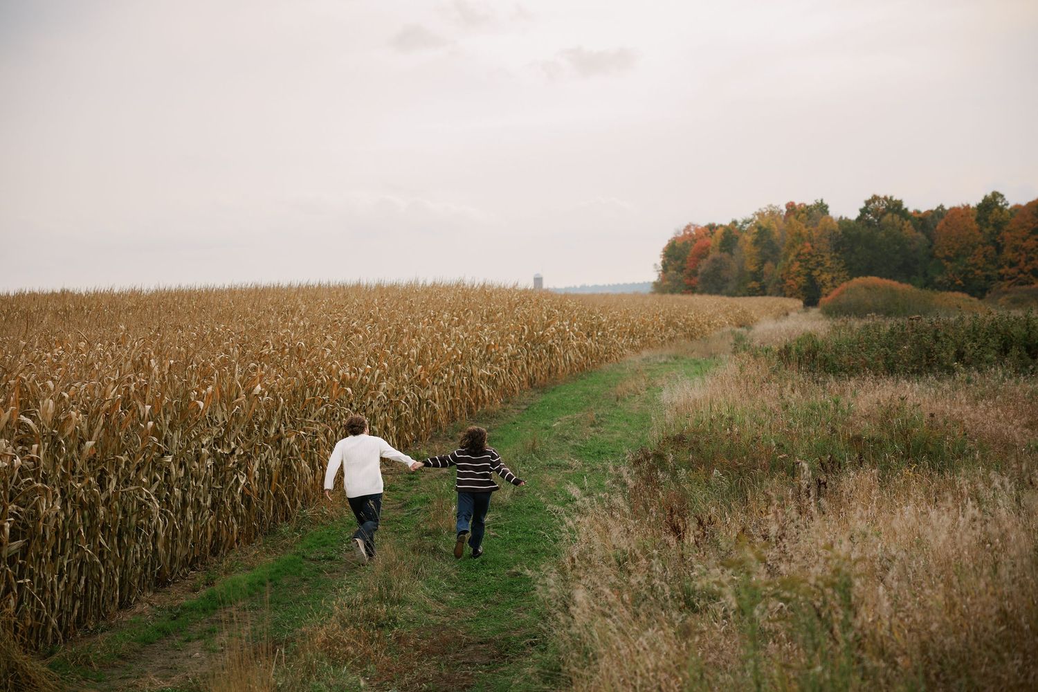 Two children run hand-in-hand along a green path beside a golden cornfield in autumn.