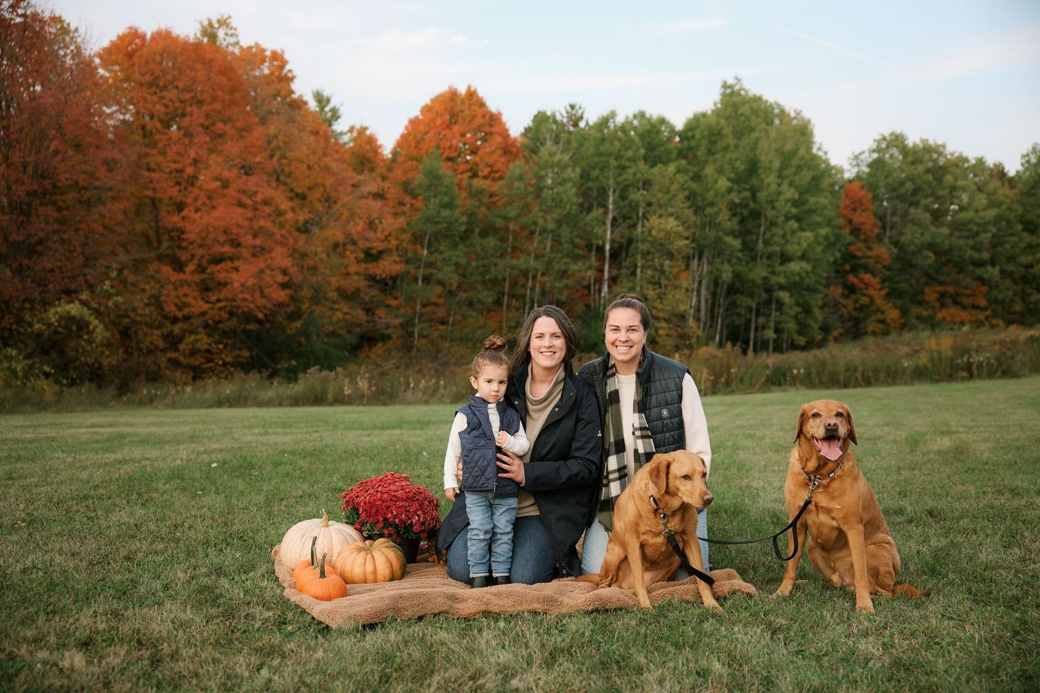 Family and dogs relaxing in grassy field with autumn trees in background.