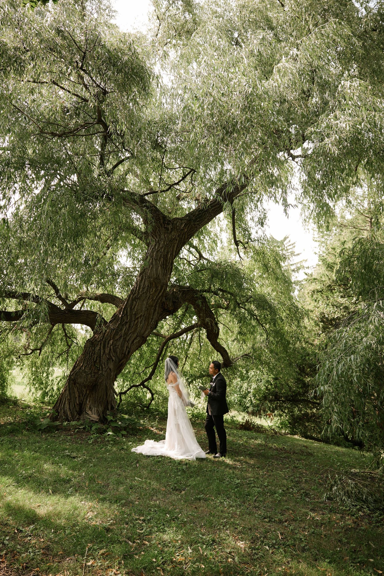 A couple stands beneath a majestic weeping willow tree during their wedding photoshoot.