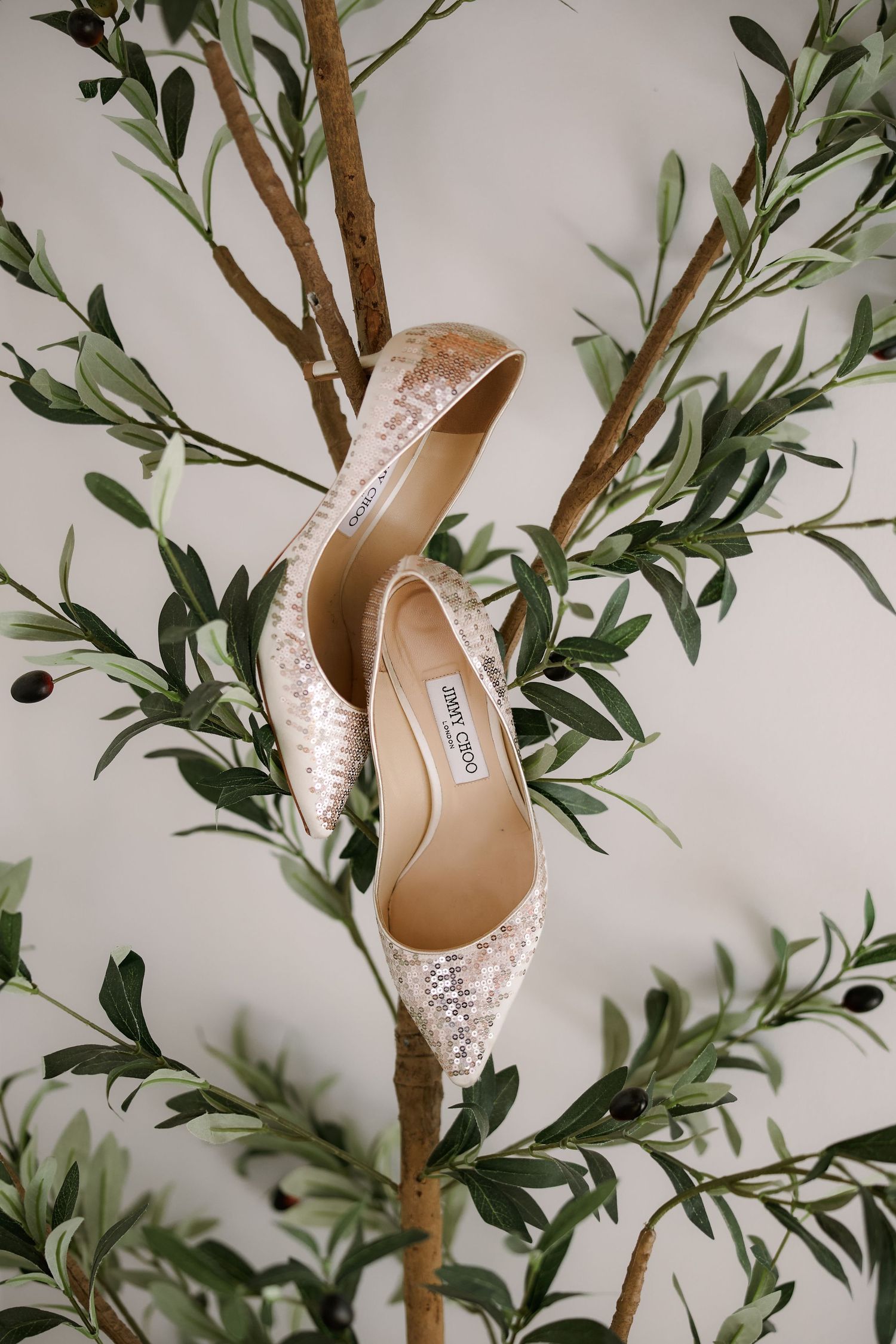 White lace wedding shoes displayed among delicate green olive branches and leaves.