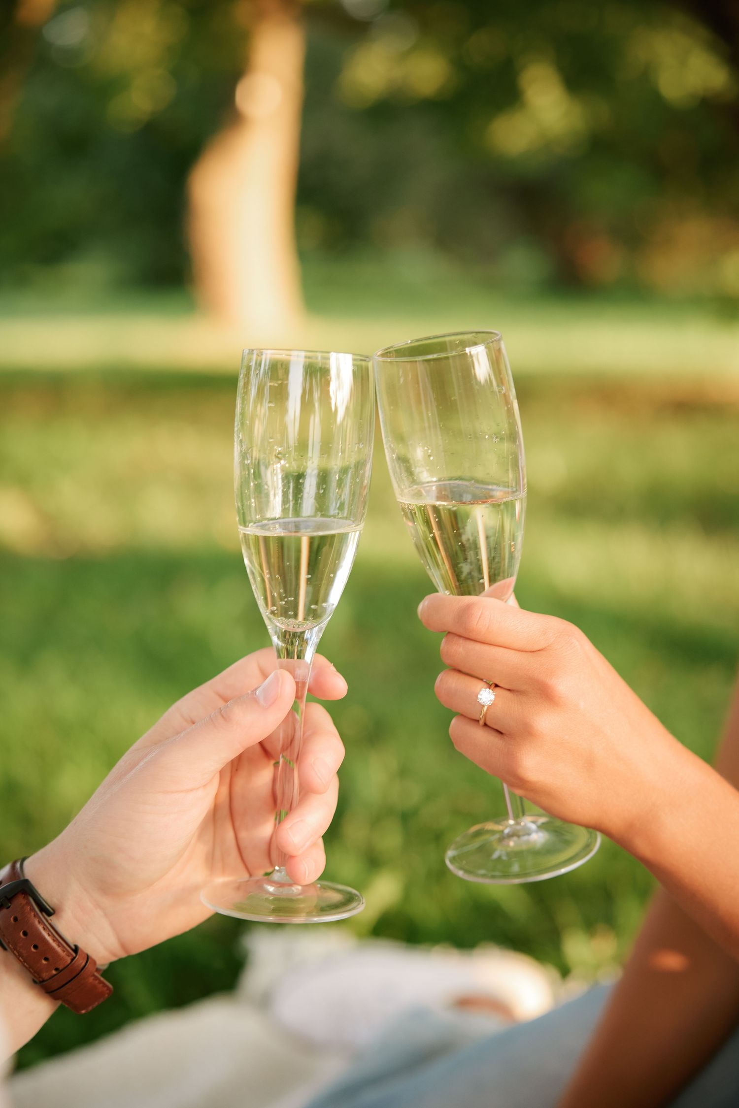 Two hands clink champagne glasses together in a sunset garden setting.