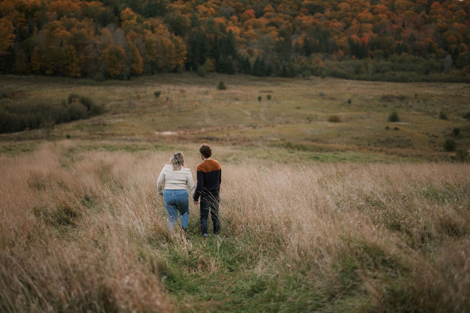 Two people walking through autumn meadow with colorful fall forest in background.