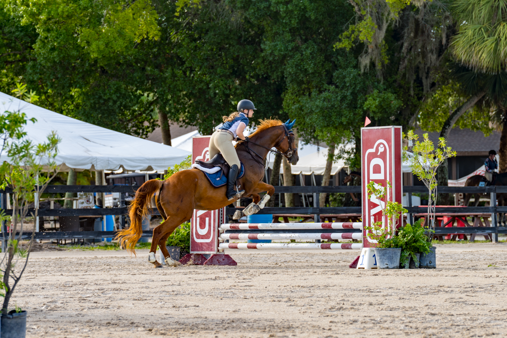 Wide shot of equestrian show jumping competition at outdoor arena.