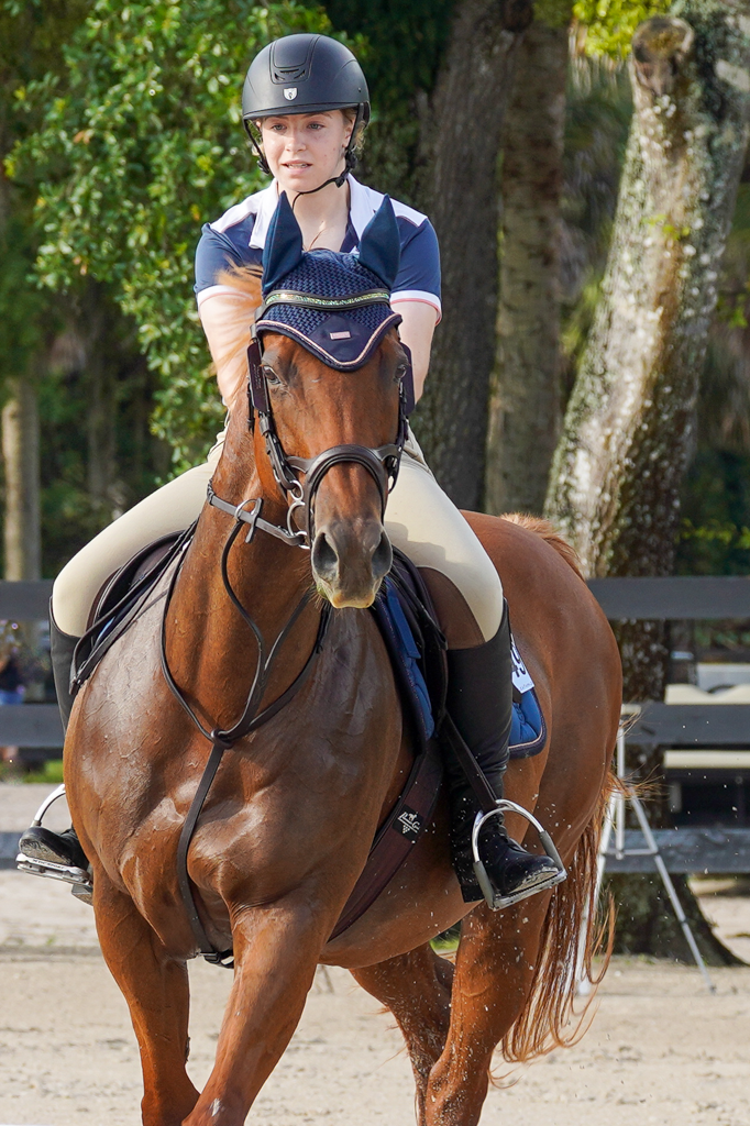 Equestrian rider in navy helmet and white outfit practicing horseback riding on brown horse.