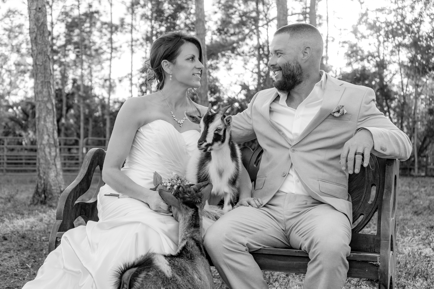 A couple sits on a bench outdoors with their dog during a wedding photoshoot.