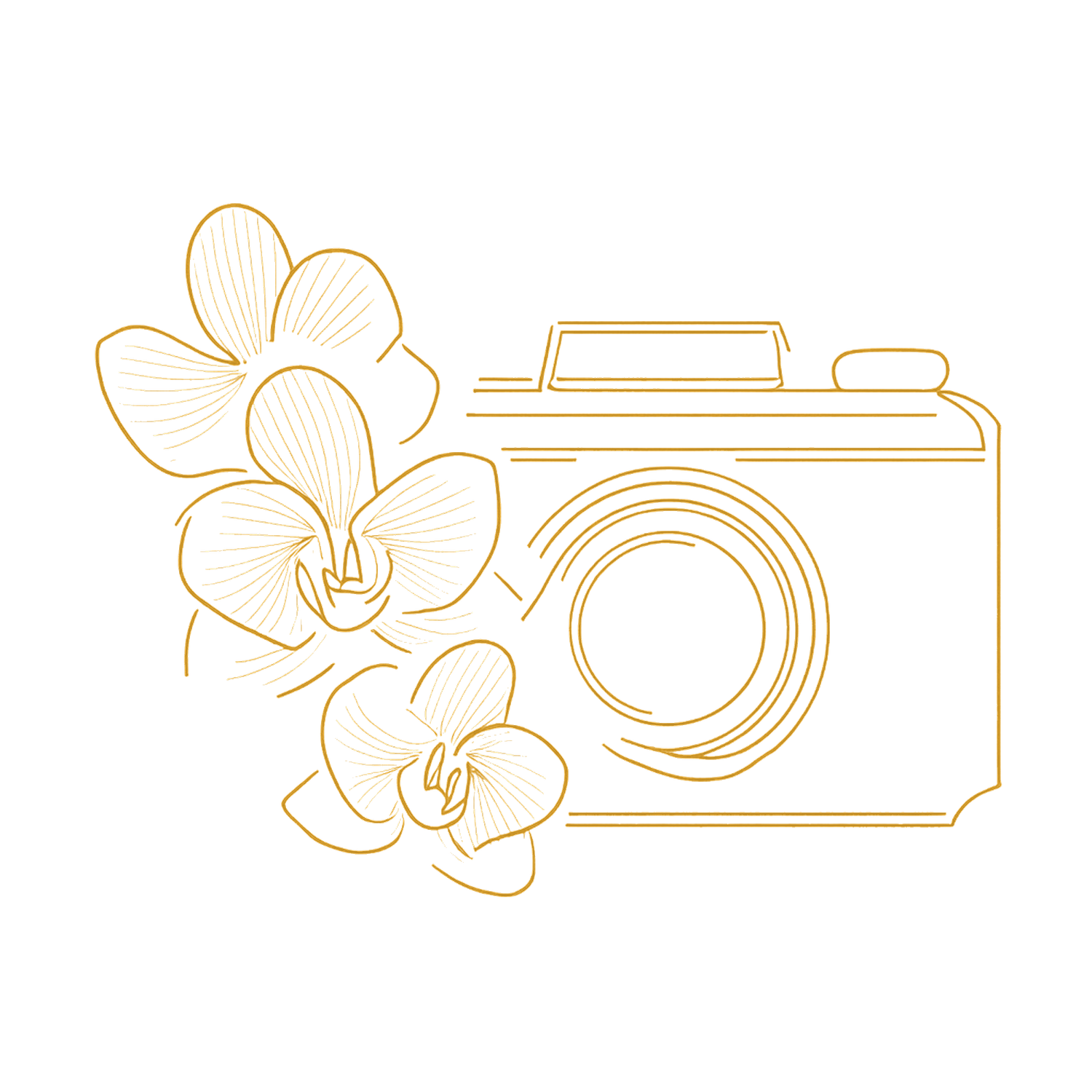 Elegant gold line drawing of vintage cameras and orchid flowers in a decorative pattern.