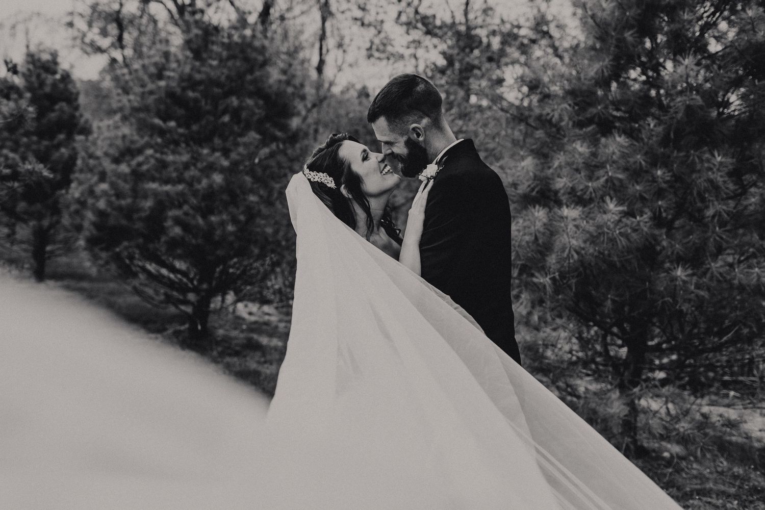veil shot