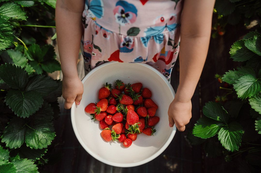 Kinderhände halten Schale mit frischen Erdbeeren
