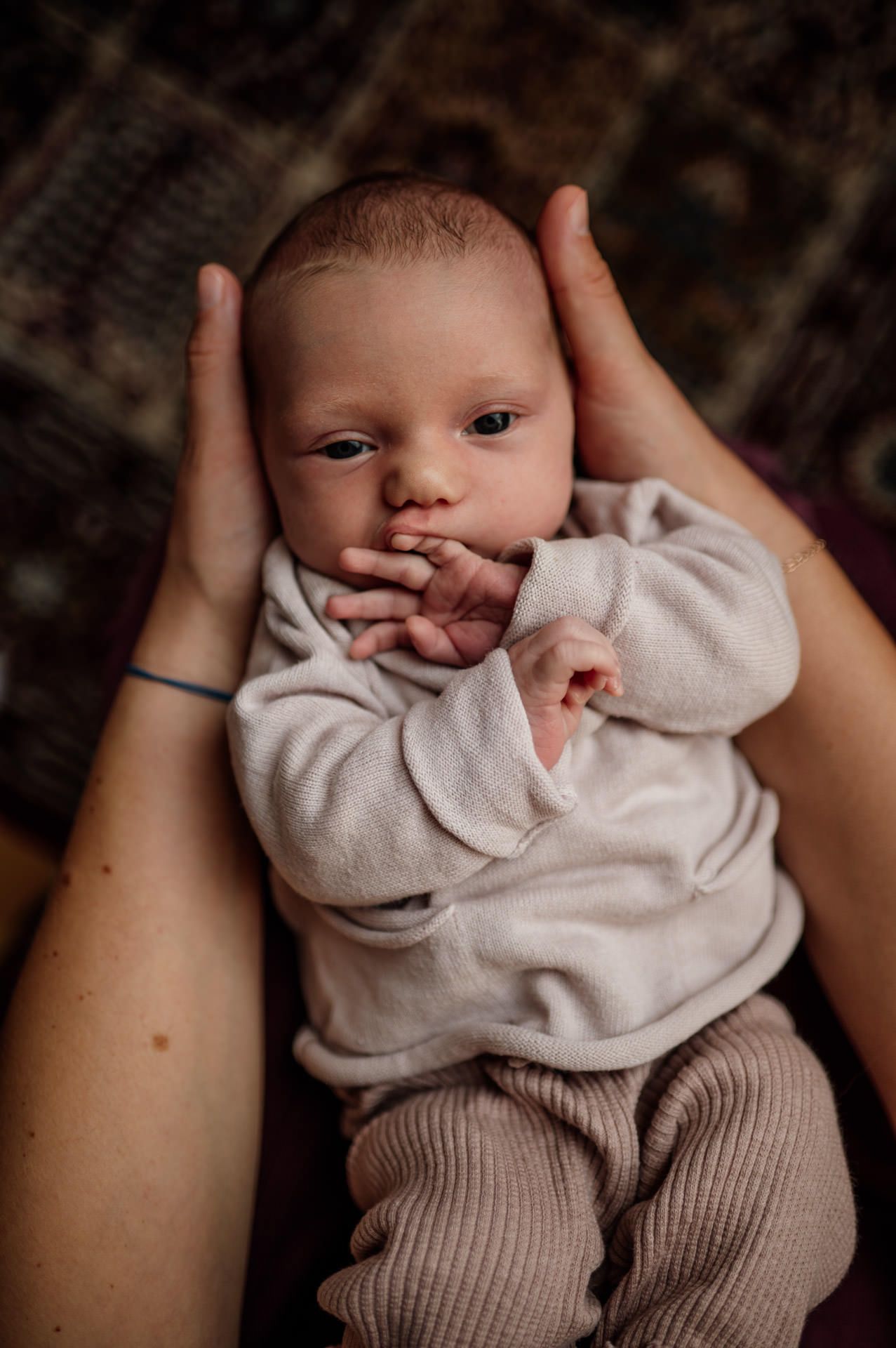 natürliches Neugeborenenportrait in den Händen der Mama