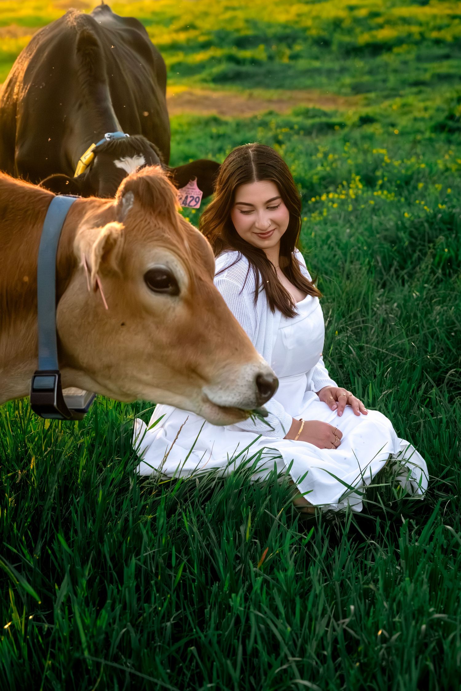 Smiling young woman in white dress sits peacefully in green field beside a friendly brown cow.