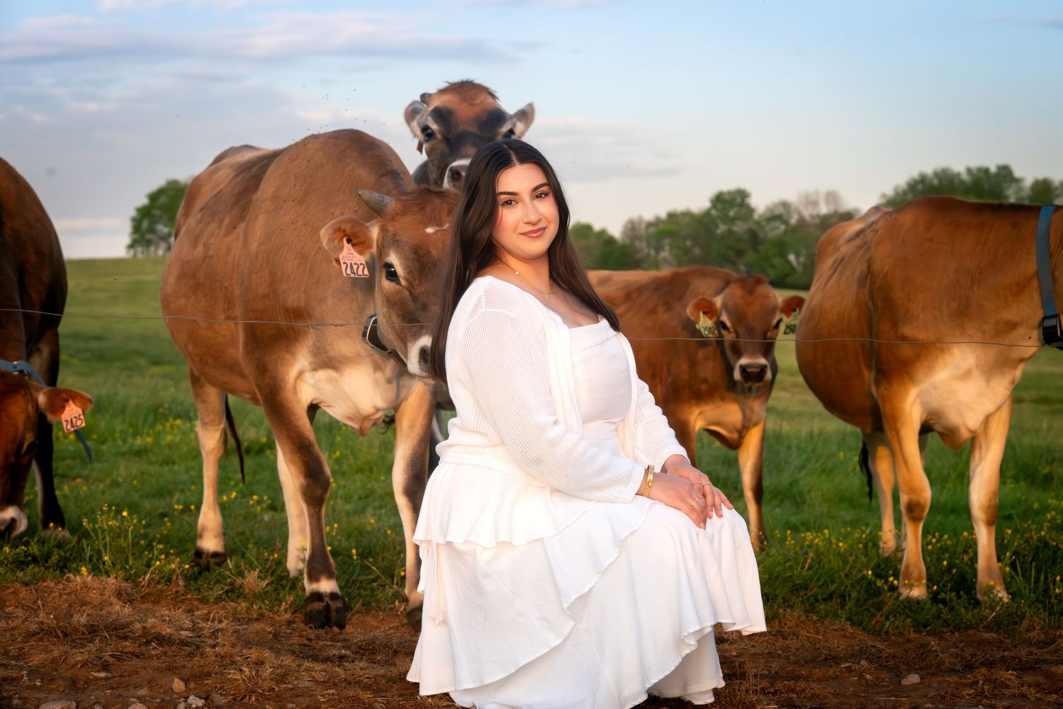 Woman in white dress sitting among Jersey cows in a green pasture at golden hour.