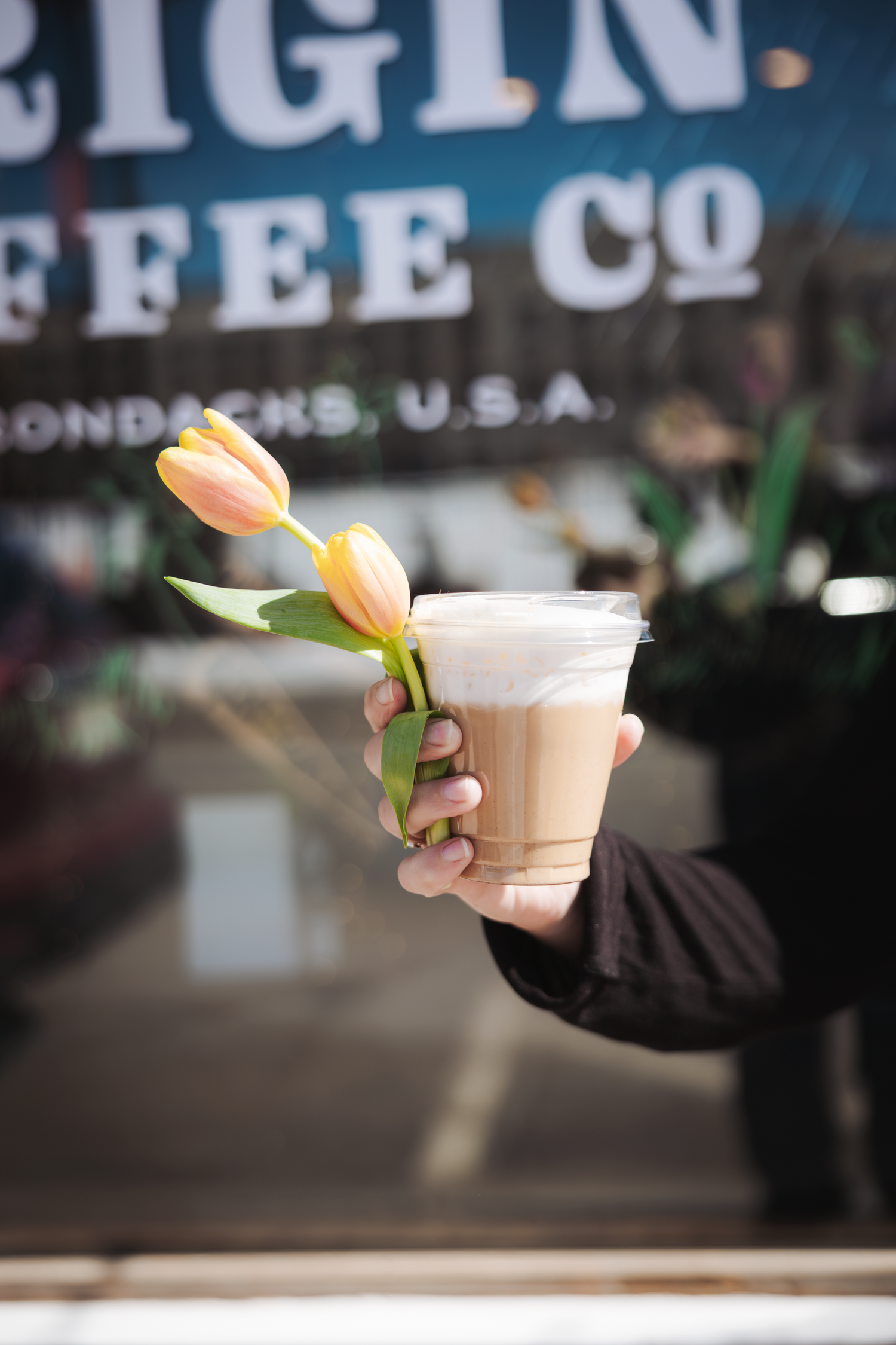 Hand holding iced latte with pink tulips in front of Origin Coffee Co. storefront window.