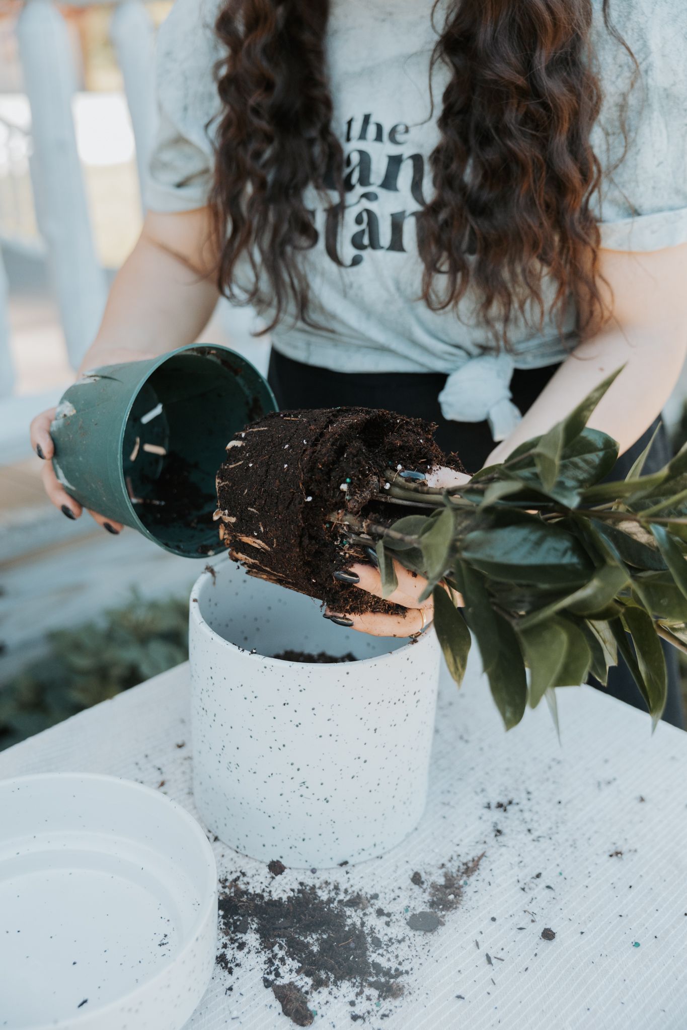 Woman repotting ZZ plant into speckled white ceramic pot outdoors on white table.