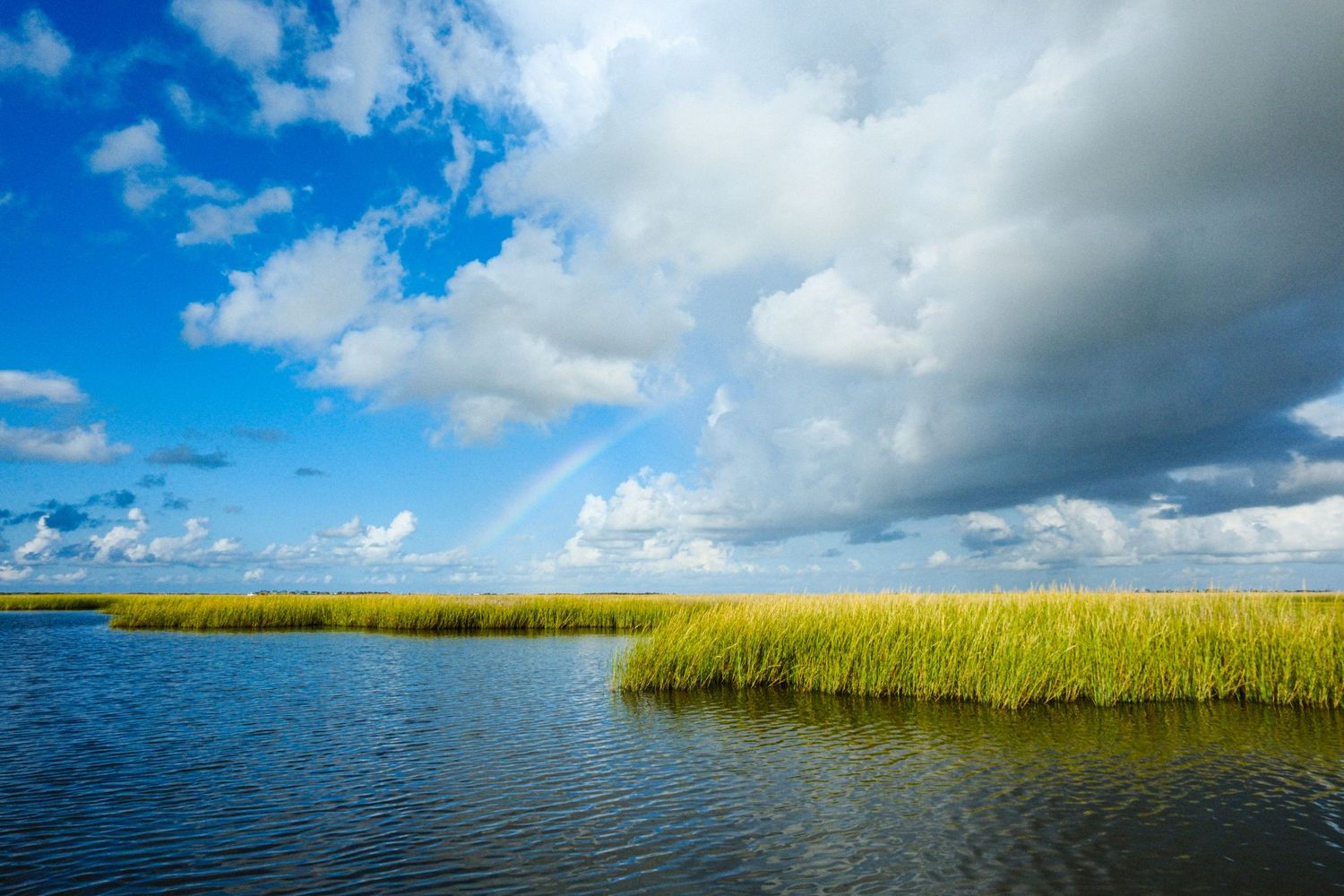 Scenic coastal marsh with green reeds under blue sky with rainbow and clouds.