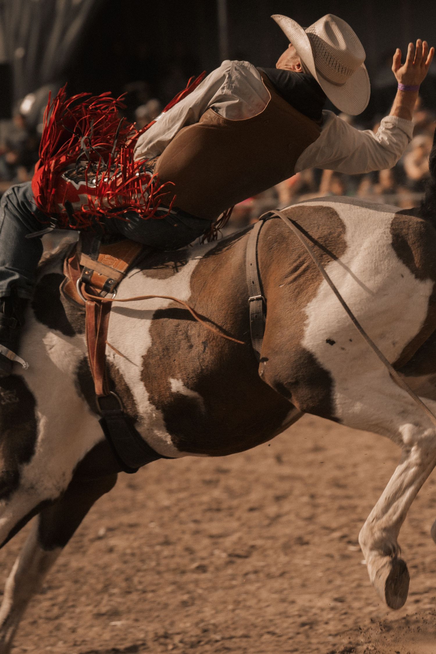 Cowboy riding a bucking paint horse at a nighttime rodeo competition.