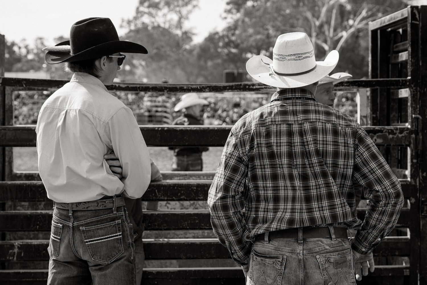 Two cowboys in hats stand with backs turned, overlooking a cattle pen at a rural rodeo event.