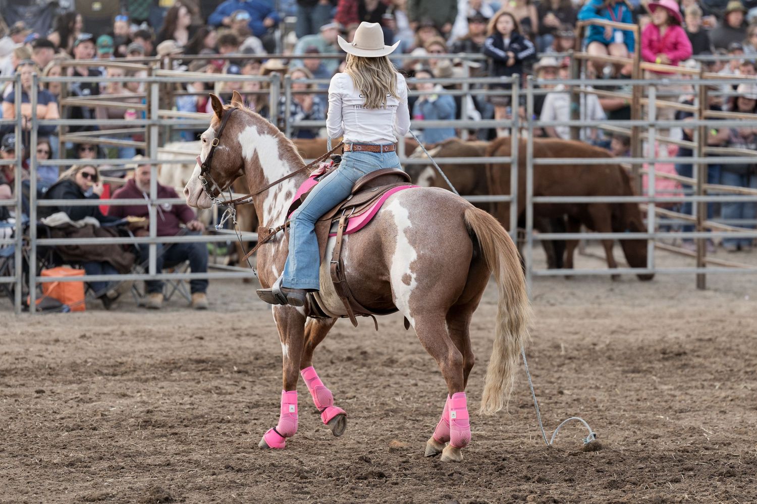 Female rider on painted horse with pink leg wraps performing in rodeo arena before large crowd.