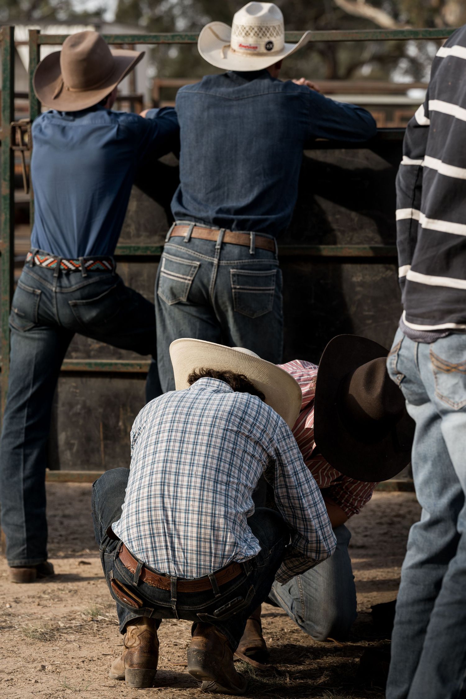 Group of cowboys in hats leaning against metal rodeo fence while one crouches adjusting gear.